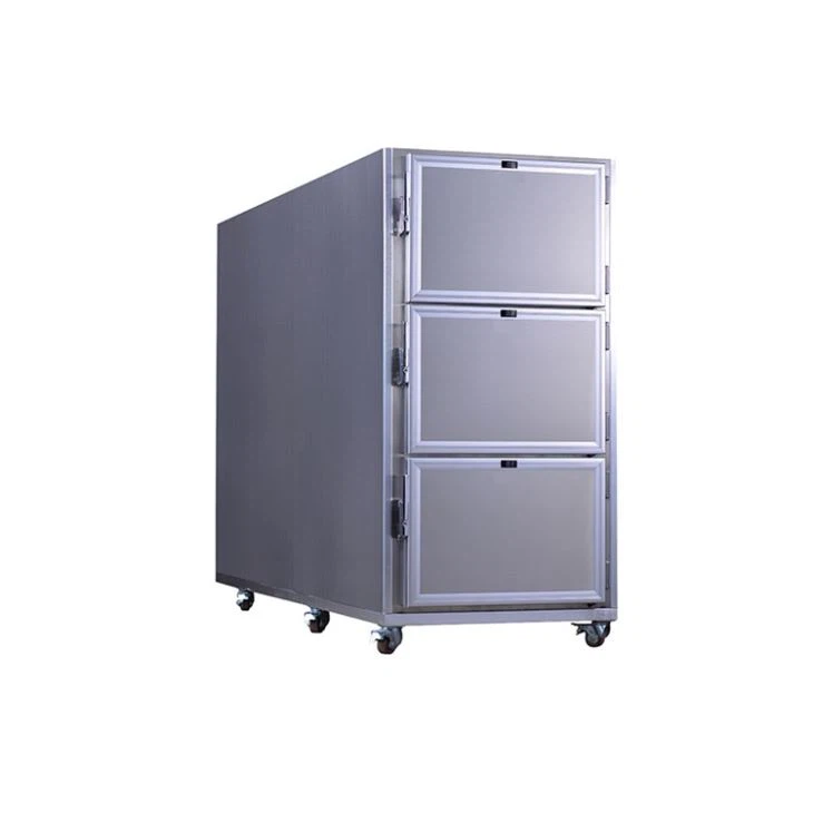 Bodies Hospital Mortuary Coolers Bodies Hospital Mortuary Coolers
