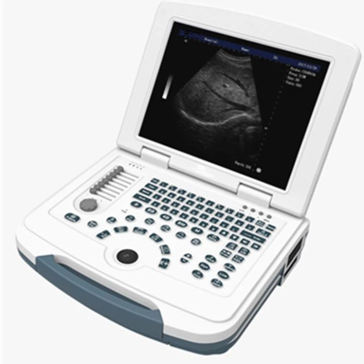 Digital Back Fat Ultrasound Scanner Digital Back Fat Ultrasound Scanner
