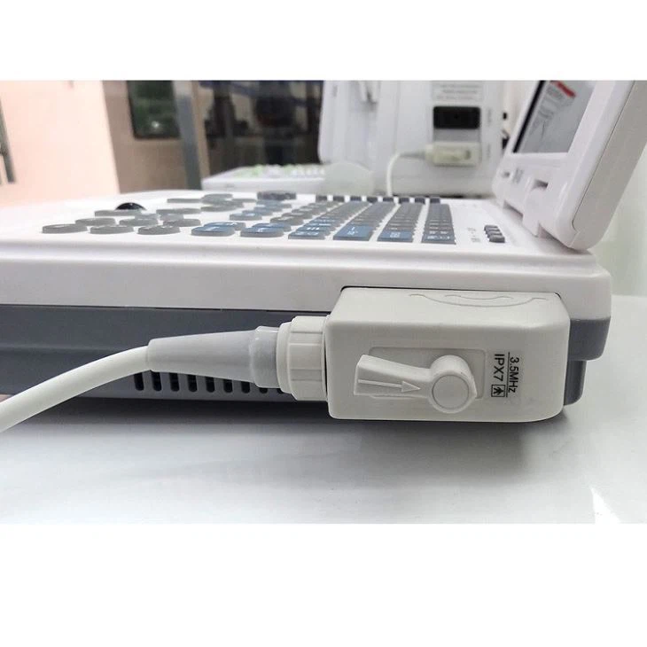 Back Fat Ultrasound Scanner Back Fat Ultrasound Scanner