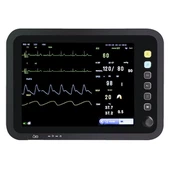 Portable Multi-parameter Patient Monitor