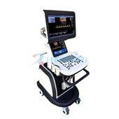 4D Xim Doppler Ultrasound