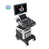 Xim Doppler Ultrasound Nqe